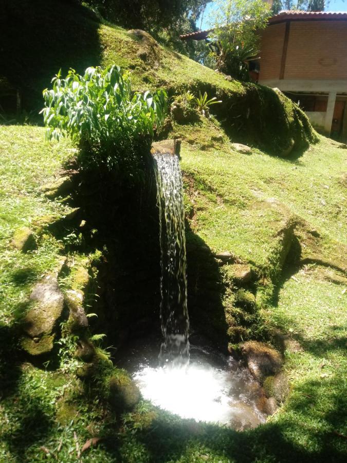 Chale Truta Da Floresta 2 Visconde De Maua Kültér fotó